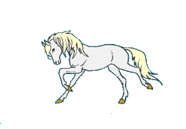 koník